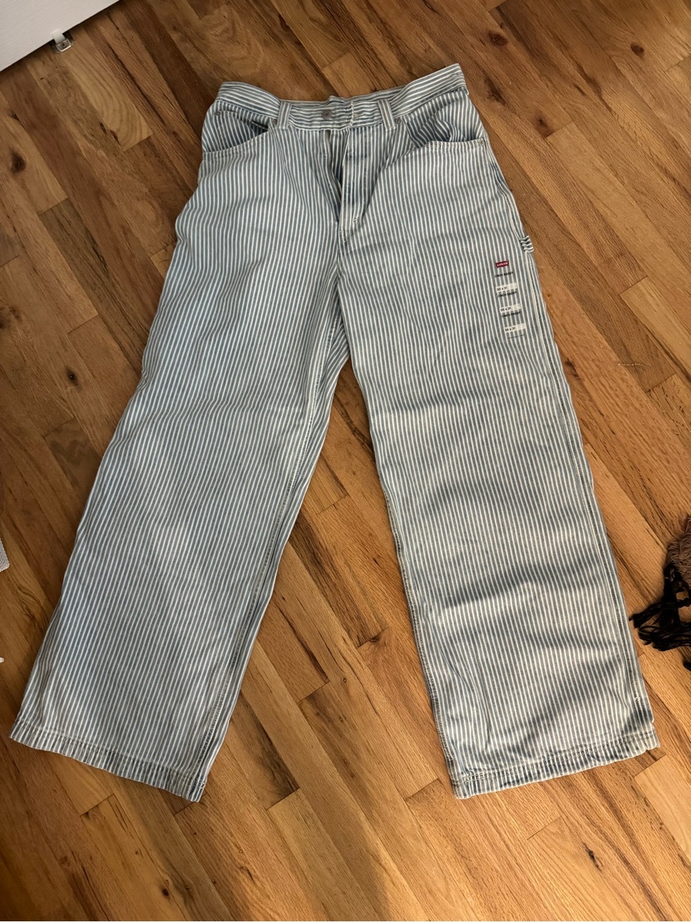 Levi’s Women’s Cinch Blue and White Striped Cargo Pants